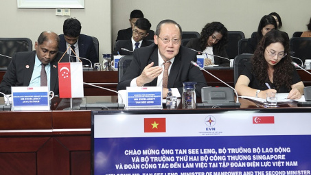 Singapore mong muốn hợp tác trong lĩnh vực năng lượng với EVN
