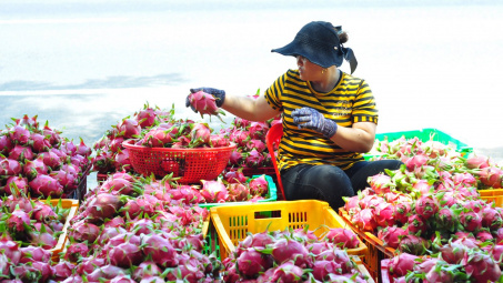 Bộ Công Thương khẳng định Trung Quốc luôn là thị trường mục tiêu trọng điểm