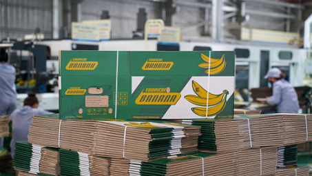 Nhà máy Bao bì (THACO Industries): Đẩy mạnh sản xuất thùng carton từ chất liệu giấy tái sinh