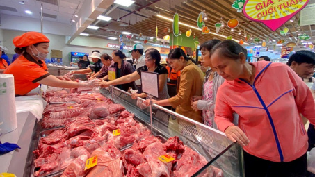 Giá heo hơi hôm nay 31/7: Giá trung bình cả nước xuống quanh mức 60.000 đồng, nhiều địa phương giảm sâu