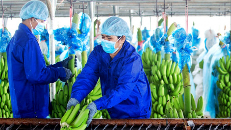 Hoàng Anh Gia Lai: Lãi ròng chạm đáy 6 quý, cổ phiếu HAG dần phục hồi