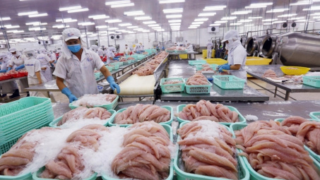 Hiệp định CPTPP - Trợ lực giúp xuất khẩu thủy sản Việt Nam vượt khó