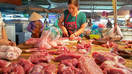 Giá heo hơi hôm nay 11/8: Dự báo giá heo hơi ở quanh mức 65.000 đồng/kg