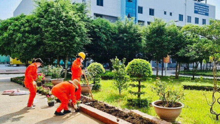 Nhiệt điện Uông Bí: Nhiều giải pháp bảo vệ môi trường