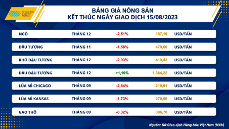 Giá ngô nhập khẩu về Việt Nam giảm khi giá nông sản thế giới lao dốc