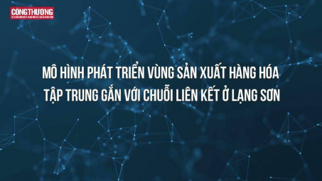 Mô hình phát triển vùng sản xuất hàng hóa tập trung gắn với chuỗi liên kết ở Lạng Sơn