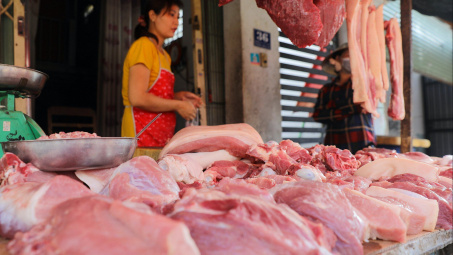 Giá heo hơi hôm nay 19/8: Sẽ tăng trở lại trong nửa cuối tháng 9?