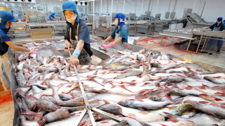 Kỳ vọng xuất khẩu cá tra phục hồi từ quý 3