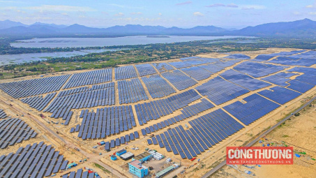 Bamboo Capital: Kinh doanh phục hồi tích cực, cổ phiếu BCG “trần cứng”