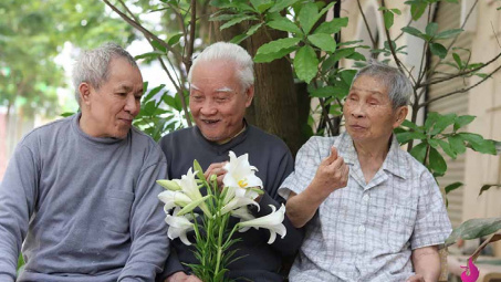 Chính phủ thống nhất giảm độ tuổi hưởng trợ cấp hưu trí