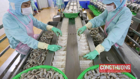 Thực phẩm Sao Ta (FMC): Doanh số tháng 7 phục hồi mạnh, dự báo xuất khẩu nửa cuối năm tăng tốc