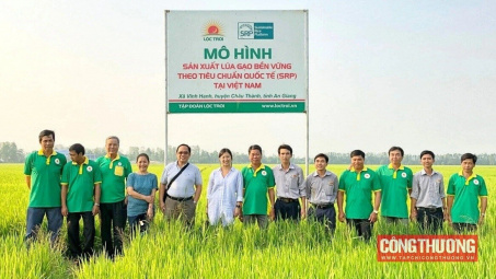 Tập đoàn Lộc Trời: Sẽ phát hành hơn 20 triệu cổ phiếu LTG trả cổ tức, báo lãi cao kỷ lục