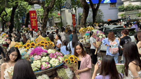Cuối tuần "checkin" cùng những xe hoa rực rỡ trên phố đẹp nhất Hà Nội