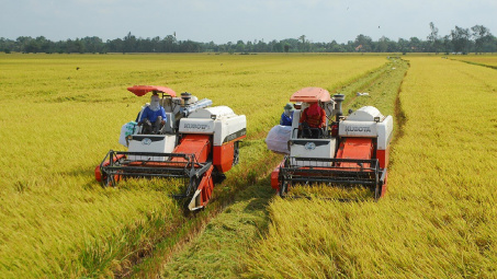 Rà soát, cân đối nguồn lực lương thực dự trữ quốc gia