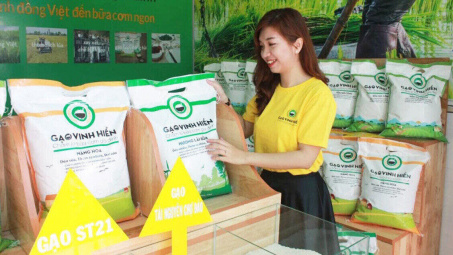 Tiền Giang: Phối hợp triển khai công tác bình ổn thị trường lúa, gạo