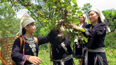 Hình thành chuỗi cung ứng ở miền núi, vùng sâu vùng xa