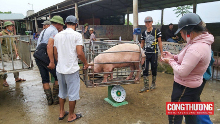 Giá heo hơi hôm nay 25/8: Chỉ còn duy nhất hai địa phương giữ được giá trên 60.000 đồng