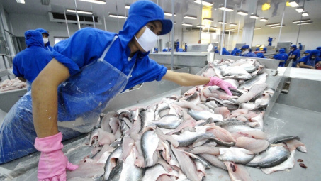 Trung Quốc cấm nhập thủy sản từ Nhật Bản, Việt Nam liệu có hưởng lợi?