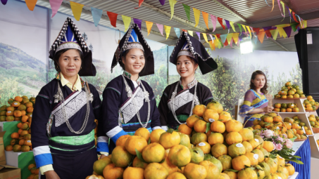 Doanh nghiệp trong chuỗi sản xuất - phân phối đặc sản Tây Bắc