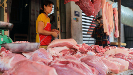 Giá heo hơi hôm nay 29/8: Tiếp tục giảm, dự báo giá chỉ phục hồi nhẹ vào cuối năm nay