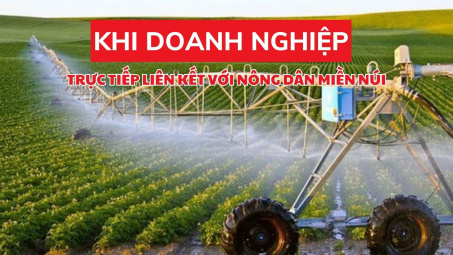 Khi doanh nghiệp trực tiếp liên kết với nông dân miền núi