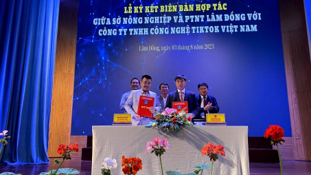 Lâm Đồng livetream “Chợ Phiên OCOP" nên nền tảng TikTok