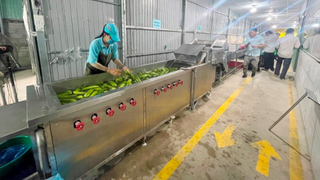 Long An: Giảm chi phí sản xuất, tăng doanh thu nhờ kinh phí khuyến công