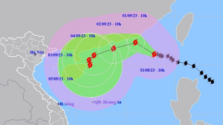 Chủ động ứng phó với bão Saola