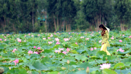Ảnh hưởng của hình ảnh điểm đến, sự hài lòng tới lòng trung thành của du khách nội địa đến du lịch Đồng Tháp