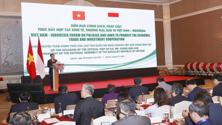Thúc đẩy hợp tác kinh tế, thương mại, đầu tư Việt Nam – Indonesia