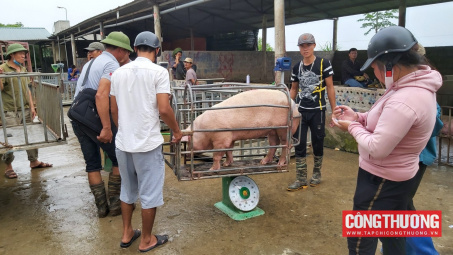 Giá heo hơi hôm nay 7/8: Dự báo giá trong thời gian tới sẽ khởi sắc