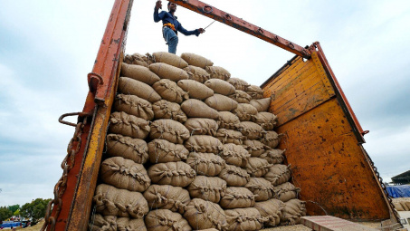 Ấn Độ: Cho phép xuất khẩu các lô gạo tẻ đã đóng thuế, cấp hạn ngạch xuất khẩu gạo