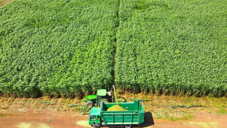 THACO AGRI: Cơ giới hóa trong sản xuất nông nghiệp quy mô lớn