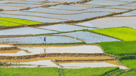 Đảm bảo nước gieo cấy vụ Đông Xuân và cung cấp điện mùa khô 2024