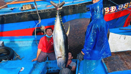 Xử lý dứt điểm các tồn tại, hạn chế liên quan đến chống khai thác IUU