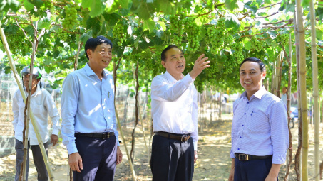 Analyzing the factors affecting the business performance of small and medium-sized enterprises in Ninh Thuan province