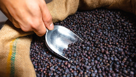 Giá tiêu hôm nay 12/9: Xuất khẩu tiêu Việt Nam sang nhiều quốc gia tăng trưởng ba chữ số