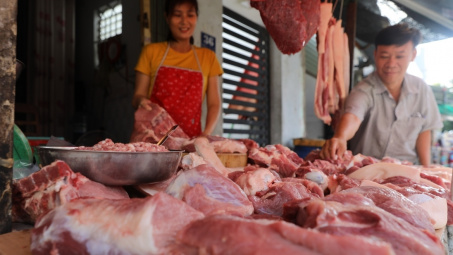 Giá heo hơi hôm nay 16/9: Có thể tiếp tục giảm trong tuần sau?