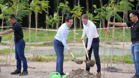 Tập đoàn LEGO hoàn thành cam kết trồng 50.000 cây xanh