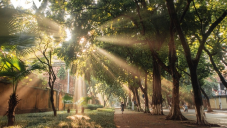 Thời tiết hôm nay ngày 19/9/2023: Hà Nội trời nắng, Thành phố Hồ Chí Minh, Đà Nẵng mưa về chiều tối