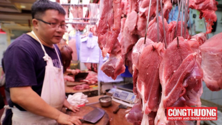 Giá heo hơi hôm nay 19/9: Người dân chuẩn bị sẵn sàng tái đàn, giá heo giống tăng trở lại