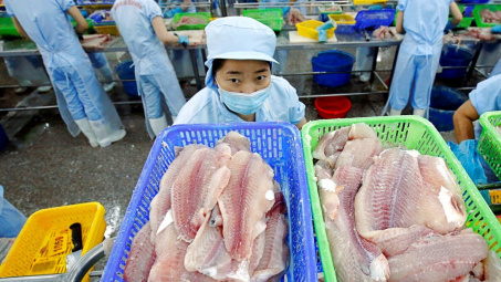 Kỳ vọng xuất khẩu sang Mỹ tăng tốc và hưởng lợi tỷ giá, cổ phiếu VHC “hút tiền” trở lại