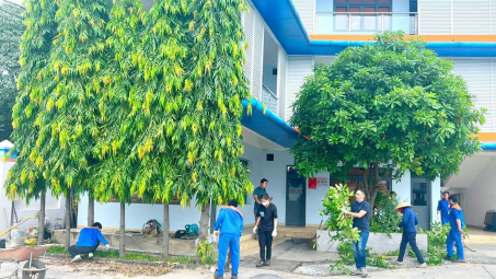 Tuổi trẻ Petrolimex đồng loạt tổ chức "Ngày Chủ nhật xanh" lần thứ IV năm 2023
