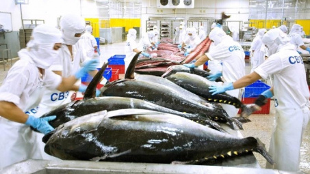 Xuất khẩu cá ngừ trong tháng 8 đạt mức cao nhất kể từ đầu năm nay