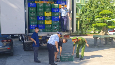 Cao Bằng, Nghệ An thu giữ gần 9 tấn thực phẩm đã bốc mùi đang trên đường đi tiêu thụ