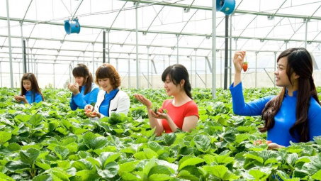 Các yếu tố ảnh hưởng đến quyết định chọn tham gia mô hình du lịch canh nông của du khách tại thành phố Đà Lạt, tỉnh Lâm Đồng