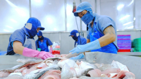 Thuỷ sản Vĩnh Hoàn (VHC): Gập ghềnh phục hồi trong quý 3, kỳ vọng đặt vào dịp lễ hội cuối năm