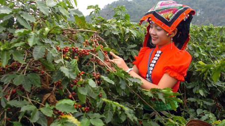 Sản xuất ở nơi tái định cư mới