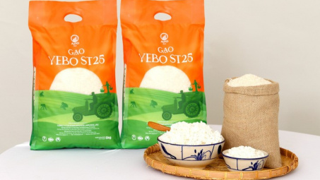 APG Eco ra mắt sản phẩm gạo  VEBO ST25