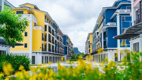 Lãi ròng Tập đoàn CEO "bốc hơi" 15% sau kiểm toán, cổ phiếu CEO neo quanh đỉnh 12 tháng